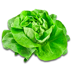 Салат айсберг