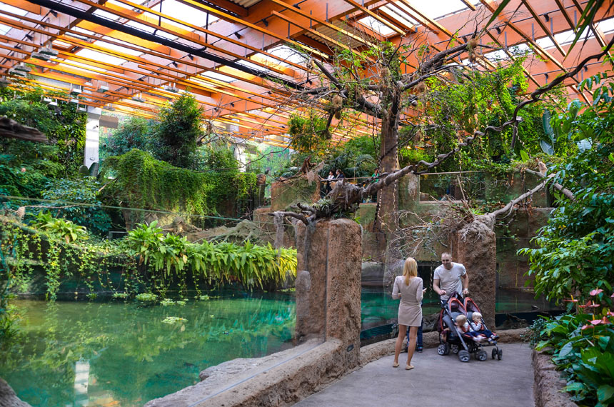 Afrykarium we wrocławskim zoo z częścią wodną, roślinami Afrykarium w Zoo Wrocław